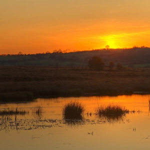 View of pond in raised bog habitat at sunset, Cors Caron National Nature Reserve, Ceredigion, Wales, november