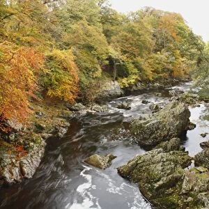 View of rapids amongst rocks in river, Falls of Feugh, River Feugh, near Banchory, Aberdeenshire, Scotland, october