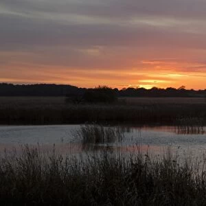 View of reedbed pool at sunset from West Hide, Minsmere RSPB Reserve, Suffolk, England, november