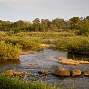 View of river flowing along edge of reserve, Sabie River, Lower Sabie Reserve, Kruger N. P