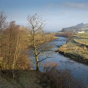 View of river flowing through farmland, looking towards Dunsop Bridge, River Hodder, Whitewell, Lancashire, England