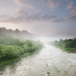 View of river and forest at sunrise, River San, Bieszczady N. P. Bieszczady Mountains, Outer Eastern Carpathians