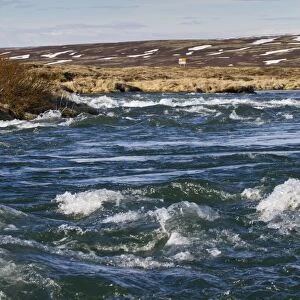 View of river rapids, River Laxa, Myvatn, Iceland, May