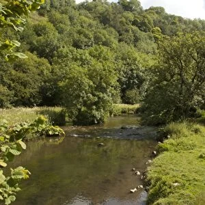 View of river and wooded slope habitat, River Derwent, Millers Dale Quarry, Derbyshire Wildlife Trust Reserve