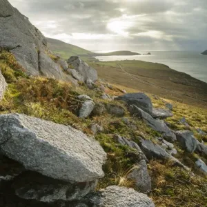 View of rocks and coastline, Graigue, Dingle Peninsula, County Kerry, Munster, Ireland, November View of rocks and coastline, Graigue, Dingle Peninsula, County Kerry, Munster, Ireland, November