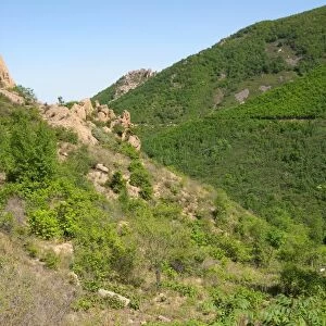 View over rocky scrub habitat on mountainside, Zushan Forest Park, Qinhuangdao, China, may