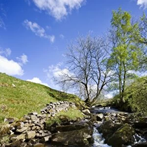 View of rocky stream with cascades, Dentdale, Yorkshire Dales N. P. North Yorkshire, England, may