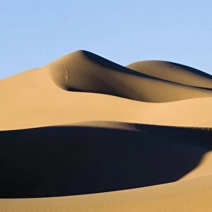 View of sand dunes in desert habitat, Khongoryn Els Sand Dunes, Southern Gobi Desert, Mongolia, october
