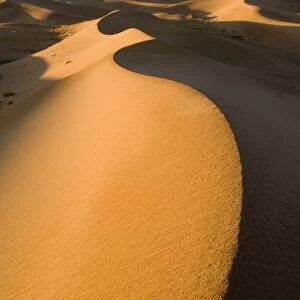 View of sand dunes in desert habitat, Khongoryn Els Sand Dunes, Southern Gobi Desert, Mongolia, october