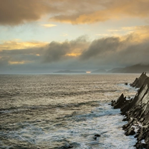 View of sea cliffs at sunset, Coumeenole North, Dingle Peninsula, County Kerry, Munster, Ireland, November