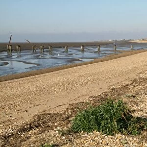 View of shingle beach and mudflats at low tide, The Wash, Snettisham RSPB Reserve, Norfolk, England, october