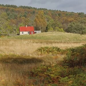 View of small cottage at edge of woodland habitat, Bogingore Cottage, Muir of Dinnet National Nature Reserve, Deeside