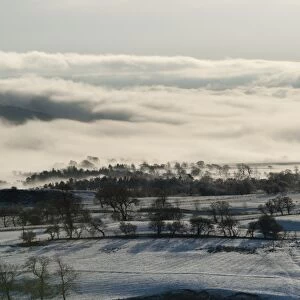 View of snow covered farmland in mist, looking towards Longridge Fell from Long Knots, Whitewell, Lancashire, England, december