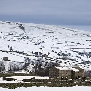 View of snow covered upland farmland with stone barns and drystone walls, Swaledale, Yorkshire Dales N. P