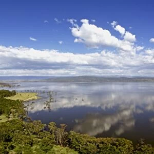 View of soda lake habitat, Lake Nakuru, Lake Nakuru N. P. Great Rift Valley, Kenya, January