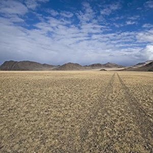 View of track over steppe habitat, Altai Mountains, Bayan-Ulgii, Western Mongolia, october