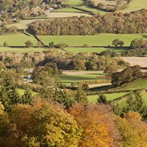 View of trees in autumn colour, fields and hedgerows, looking from Luccombe Plantation with Selworthy Church