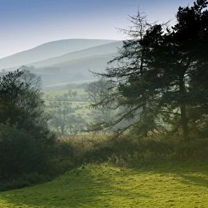 View through trees towards fell, looking to Parlick Fell from Dinkling Green Farm, Whitewell, Clitheroe, Lancashire