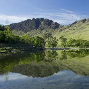 View of trees and fells reflected in lake, Buttermere, Lake District N. P. Cumbria, England, June