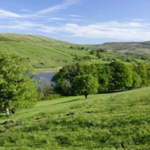 View of trees, lake and hills, Semerwater, Wensleydale, Yorkshire Dales N. P. North Yorkshire, England, april