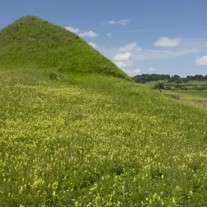 View of Tump, raised mound in flowery grassland, above Apold, Transylvania, Romania, June View of Tump, raised mound in flowery grassland, above Apold, Transylvania, Romania, June