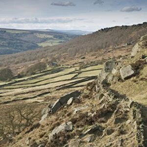 View of upland habitat with drystone walls and gritstone edge, looking north from Baslow Edge, Peak District