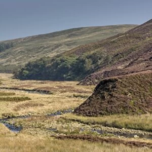 View of upland valley with river, Langden Brook, Langden, Dunsop Bridge, Trough of Bowland, Forest of Bowland