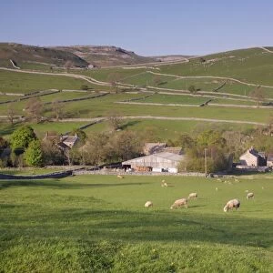 View above village with drystone walls on hillside and sheep grazing in pasture, Malham, Malhamdale
