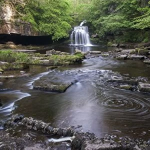 View of waterfall and river, Cauldron Falls, Walden Beck, River Ure, West Burton, Wensleydale, Yorkshire Dales N. P