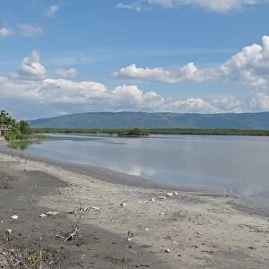 View of wetland habitat, Lower Morass, Black River, Jamaica, December