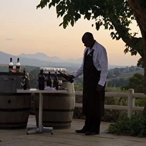 Waiter pouring wine on wine estate at sunset, Devon Valley, Stellenbosch, Western Cape, South Africa