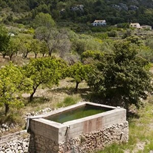 Water storage for almond and citrus orchard, Costa Blanca, Alicante Province, Valencia, Spain, May