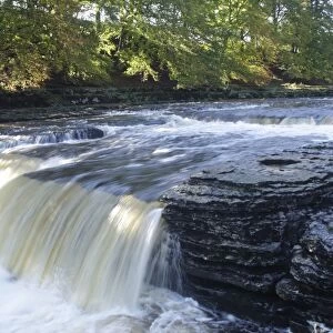 Waterfall (Middle Falls) on River Ure, Aysgarth Falls, Aysgarth, Wensleydale, Yorkshire Dales N. P