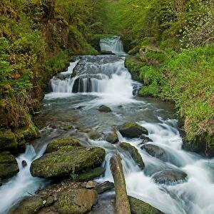 Waterfall situated at confluence of East Lyn River and Hoar Oak Water, Watersmeet Falls, Lynmouth, North Devon