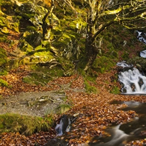 Waterfalls on stream Nant Dolfolau tumbling down hillside into Garreg Ddu Reservoir, Elan Valley, near Rhayader, Powys