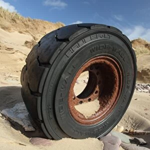 Wheel washed up in sand dune, Gower Peninsula, West Glamorgan, South Wales, March