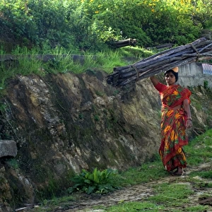 Woman carrying firewood logs on head, Vattavada, Western Ghats, Kerala, India