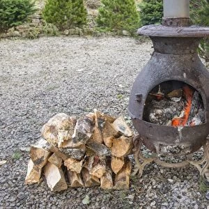 Wood burning stove burning split logs, Waddington, Lancashire, England, December