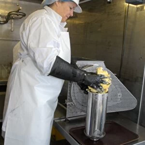 Worker making organically made butter from unpasteurized milk, on organic dairy farm, Hook and Son, Longleys Farm