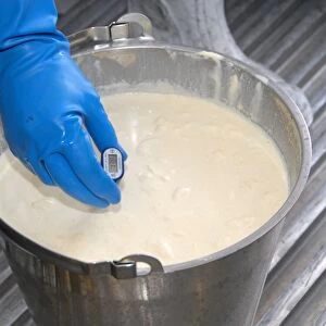 Worker taking temperature from bucket of cream, prior to making organically made butter from unpasteurized milk