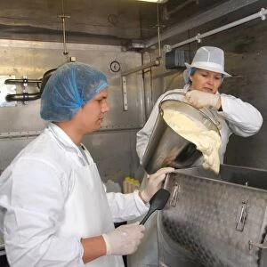Workers pouring raw unpasteurized cream into churn, making organically made butter from unpasteurized milk