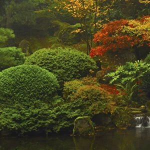 Autumn at the Portland Japanese Garden: Portland, Oregon, USA