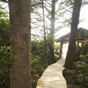 Boardwalk Trail from Wickaninnish Inn to Long Beach, Tofino, British Columbia, Canada