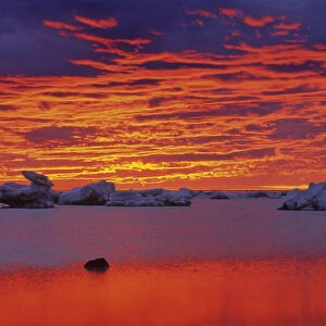 Canada, Hudson Bay. Ice floes on water at sunset