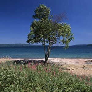 Canada, Ontario, View of Lake Superior
