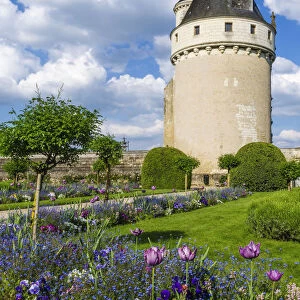 Chateau de Chenonceau, Chenonceaux, Loire Valley, France