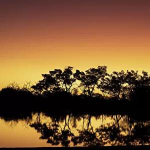 Colorful sunset at watering hole. Camelthorn Lodge. Hwange National Park. Zimbabwe