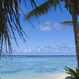 Cook Islands, Rarotonga. Beach hammock