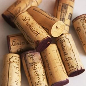 Corks stampled with Eric and Joel Durand against a white background. Domaine Eric et Joel Durand