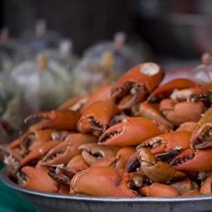 Crab Claws in Bangkok Market
